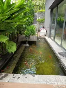 Fish pond & water pond works