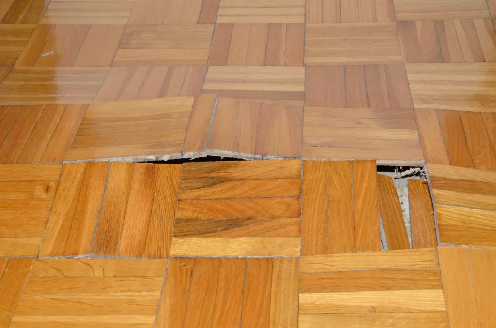 professional parquet floor repair services singapore